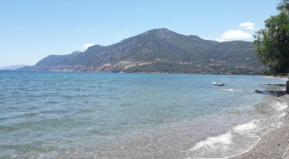 Small Theater Apartment Epidaurus Luaran gambar